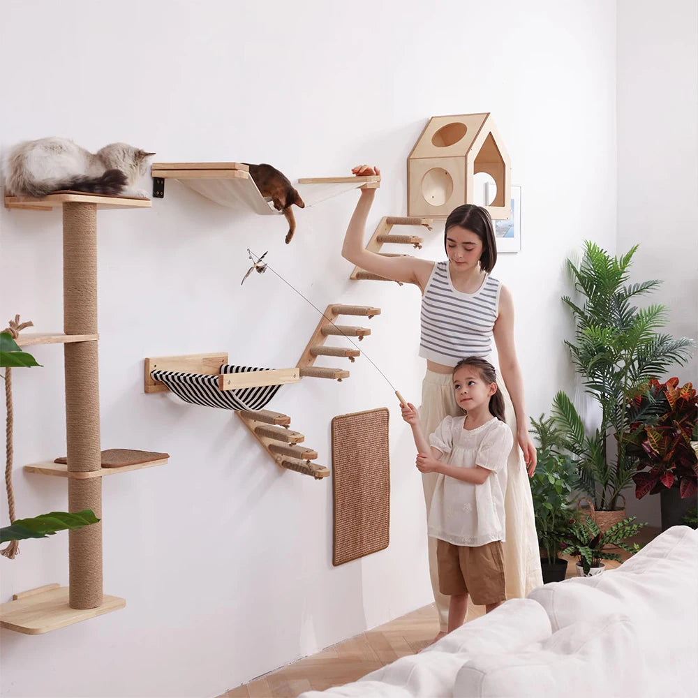 Cat Climbing Wall Mounted Shelves And Hammock