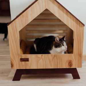 Pet Organization
