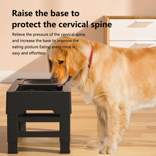 Elevated Dog Food Slow Feeder 4 Adjustable Heights