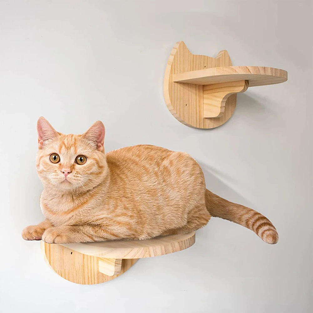 Cat Climbing Wall Mounted Shelves And Hammock