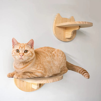 Cat Climbing Wall Mounted Shelves And Hammock